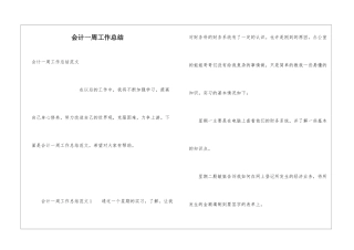 会计一周工作总结