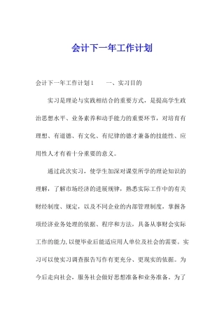 会计下一年工作计划