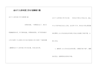 会计个人的年度工作计划集锦六篇
