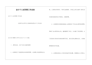 会计个人试用期工作总结