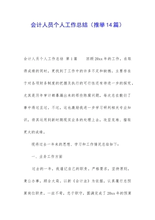 会计人员个人工作总结