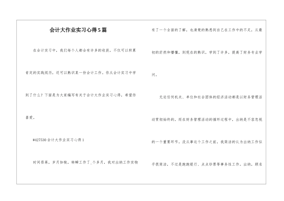 会计大作业实习心得5篇_第1页