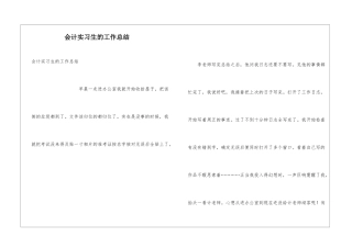会计实习生的工作总结