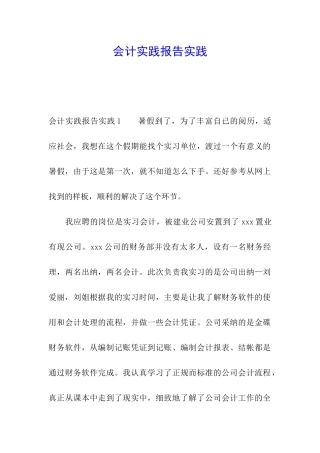 会计实践报告实践