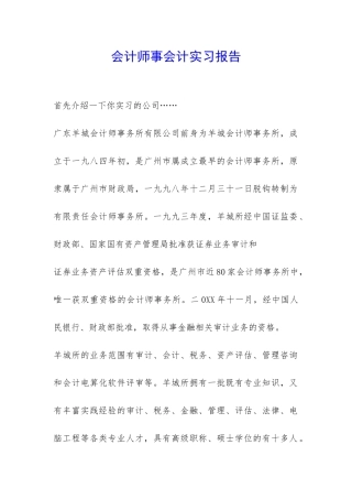 会计师事会计实习报告-