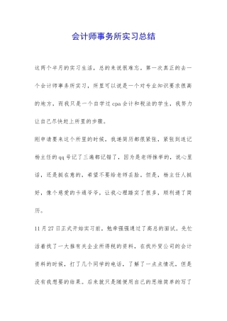 会计师事务所实习总结-