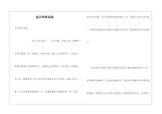 会计年终总结