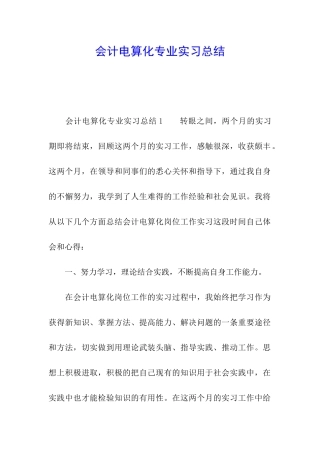 会计电算化专业实习总结