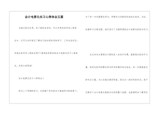 会计电算化实习心得体会五篇