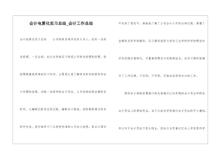 会计电算化实习总结-会计工作总结