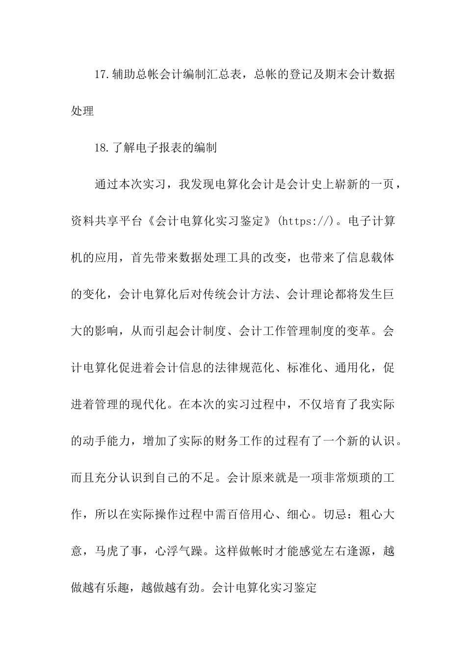 会计电算化实习鉴定_第3页