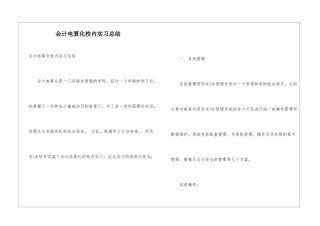 会计电算化校内实习总结
