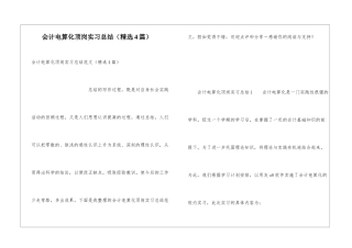 会计电算化顶岗实习总结