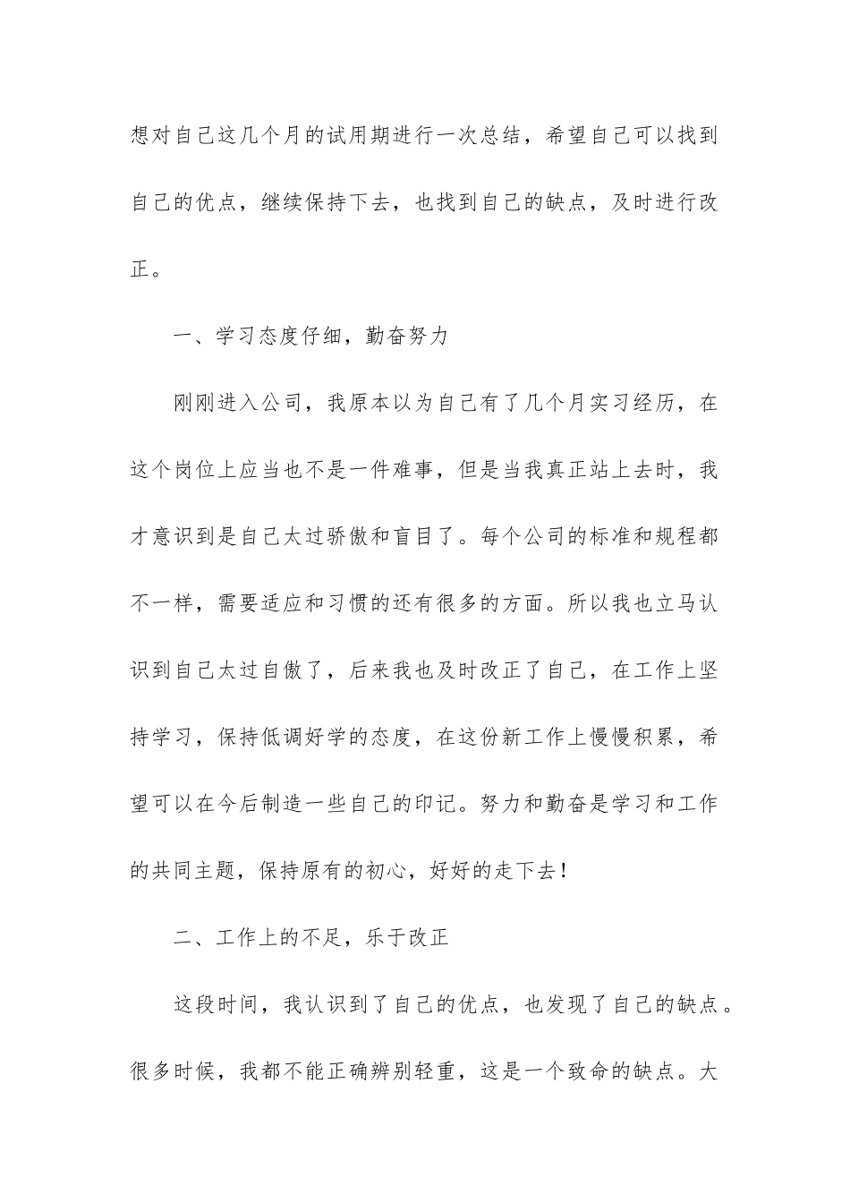 会计的试用期工作总结3篇_第2页