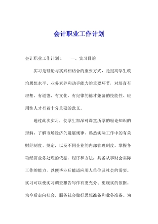 会计职业工作计划