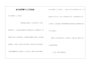 会计试用期个人工作总结