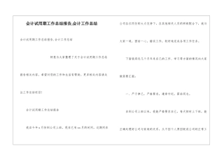 会计试用期工作总结报告-会计工作总结