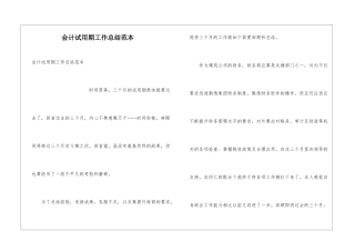 会计试用期工作总结范本