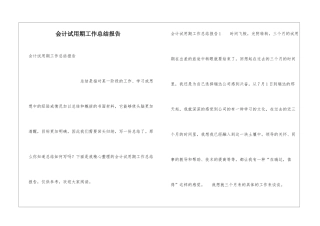 会计试用期工作总结报告