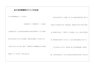 会计试用期满转正个人工作总结