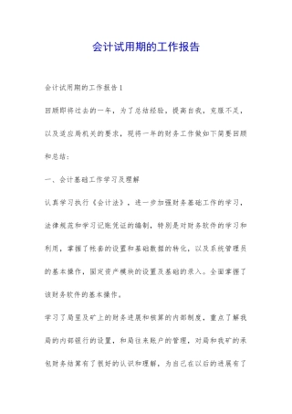 会计试用期的工作报告-