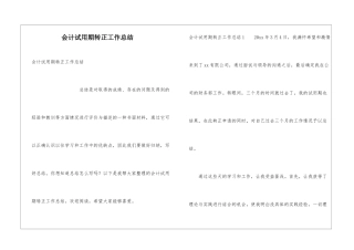 会计试用期转正工作总结