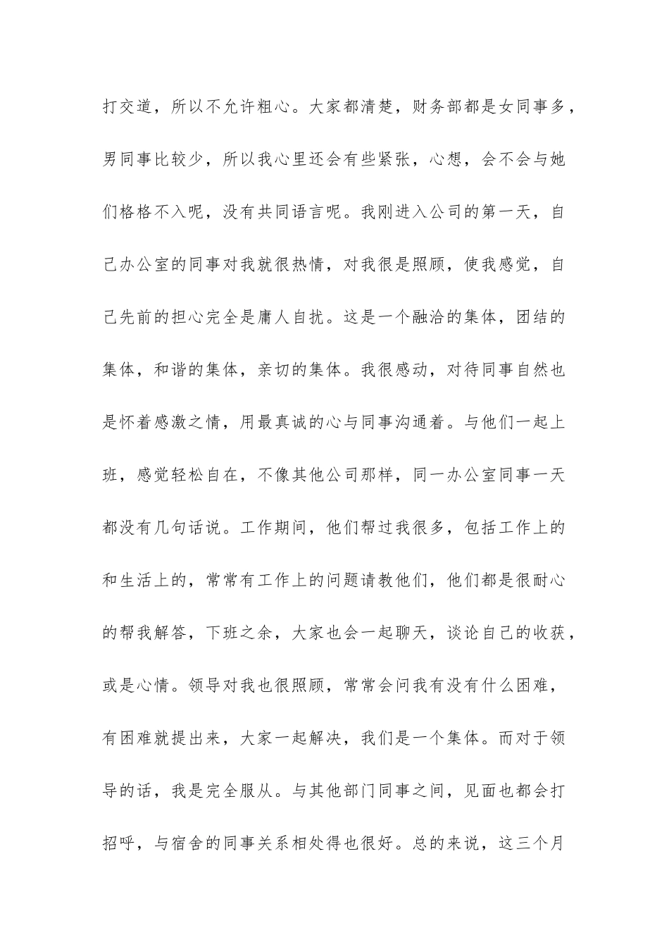 会计试用期转正工作总结-_第2页
