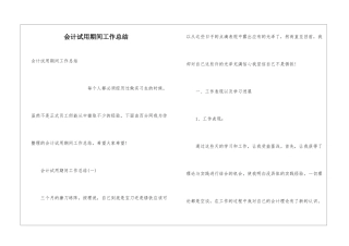 会计试用期间工作总结
