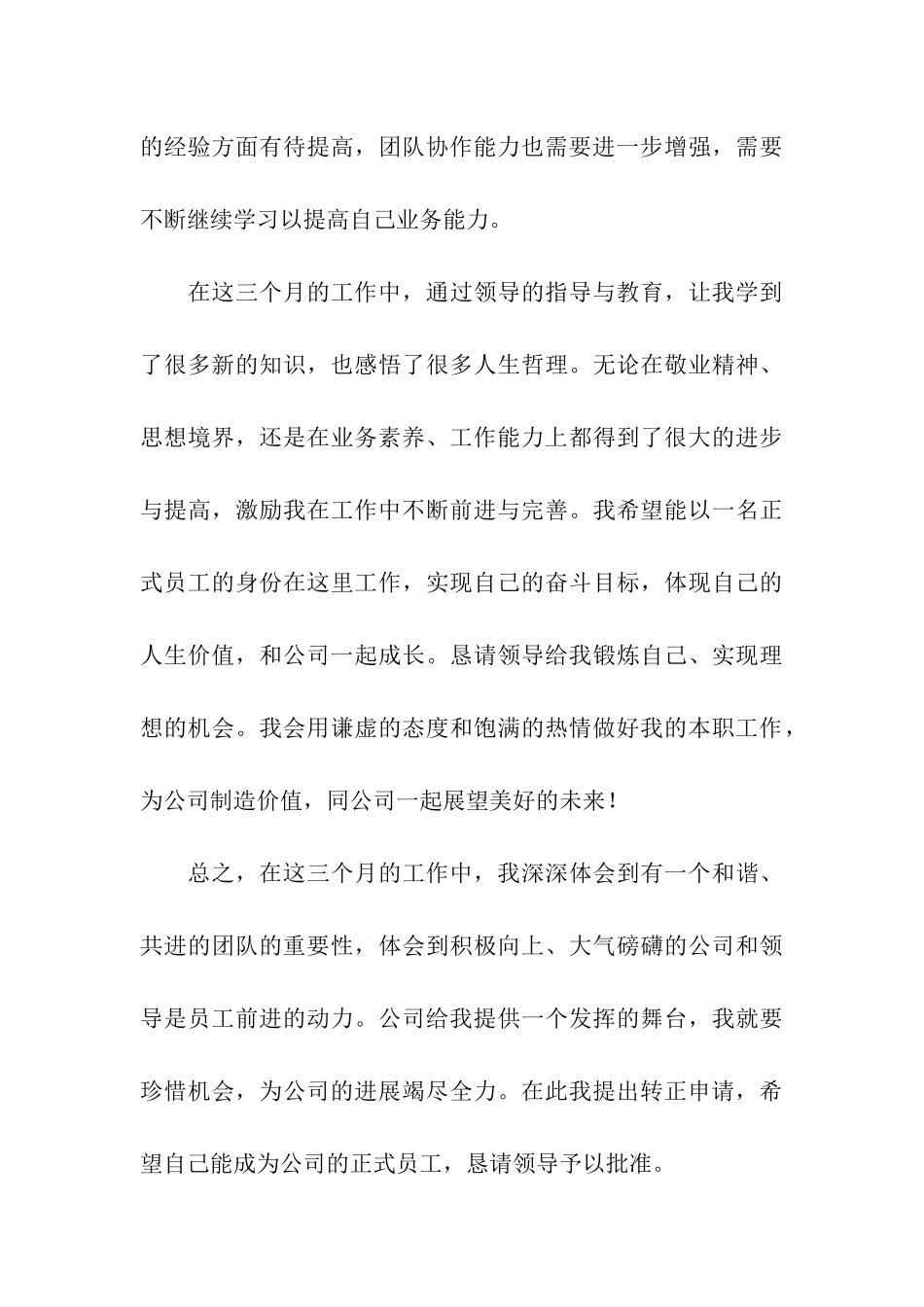 会计转正申请书_第3页