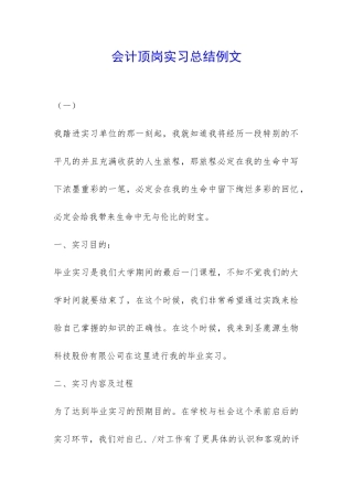 会计顶岗实习总结例文-