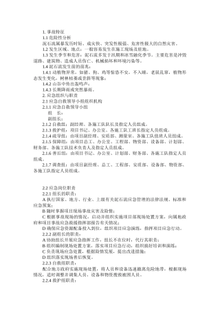 泥石流现场处置方案