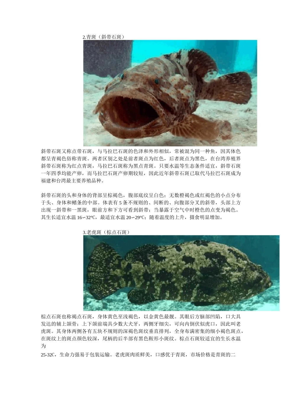 石斑鱼权威介绍资料_第2页