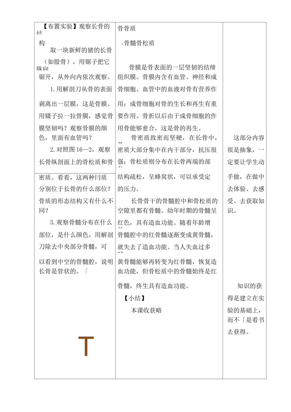 苏科版八年级生物上册17.1《人体的运动》教案教学设计_第3页