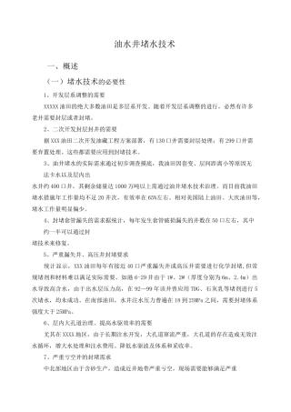 油水井堵水技术