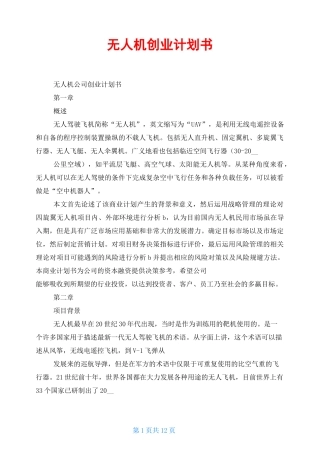 无人机创业计划书
