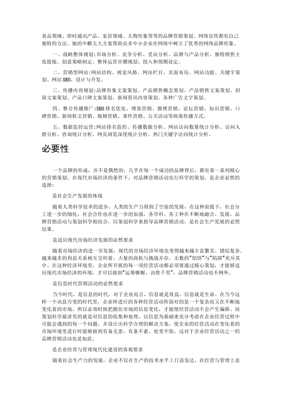 品牌运营策划_第2页