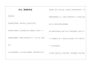 作文：特别的考试
