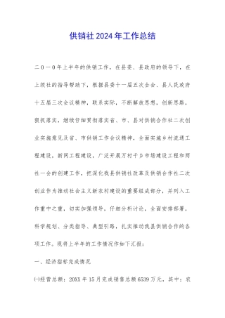 供销社2024年工作总结-