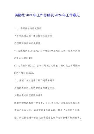 供销社2024年工作总结及2024年工作意见-