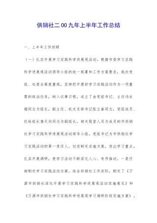 供销社二OO九年上半年工作总结-