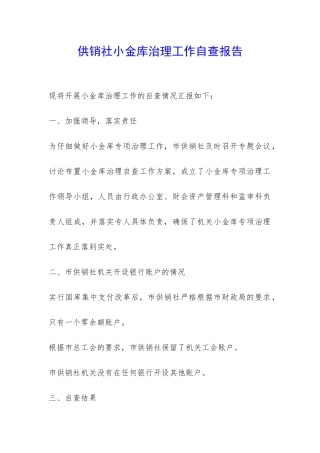 供销社小金库治理工作自查报告-