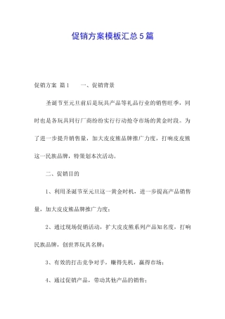 促销方案模板汇总5篇
