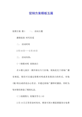 促销方案模板五篇