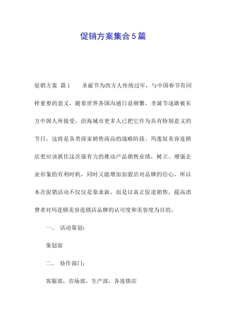 促销方案集合5篇