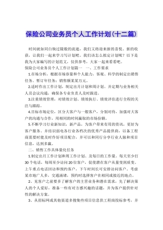 保险公司业务员个人工作计划
