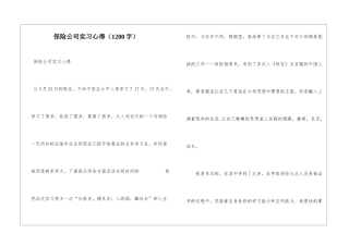 保险公司实习心得