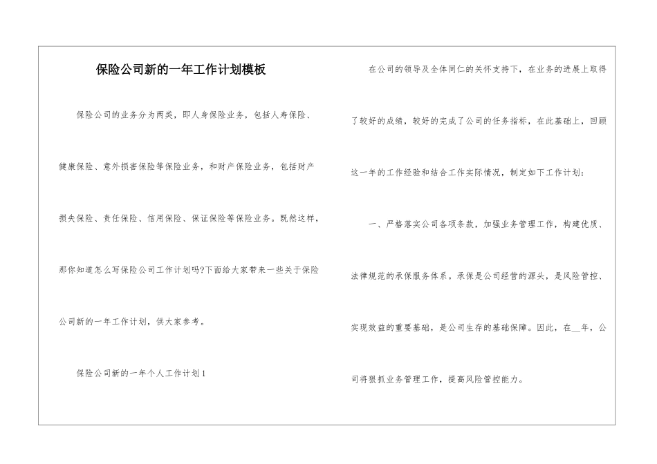 保险公司新的一年工作计划模板_第1页