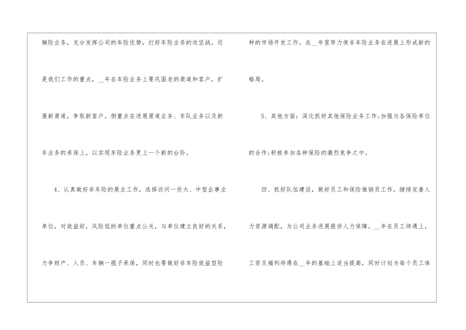 保险公司新的一年工作计划模板_第3页