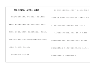 保险公司新的一年工作计划模板