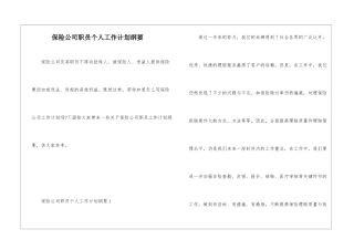 保险公司职员个人工作计划纲要